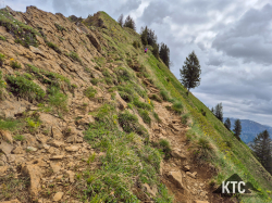 2025-05-17 Bizau Trail - 20250517_113900